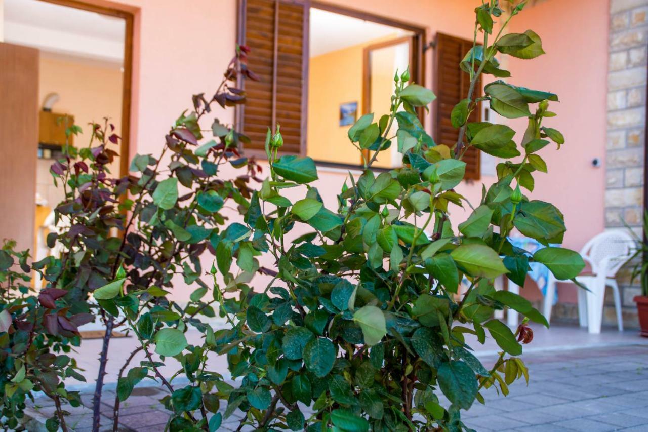 Apartmani A.Teskera تروغير المظهر الخارجي الصورة